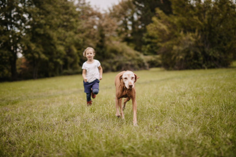 Familienfotos Bonn Hund Kind