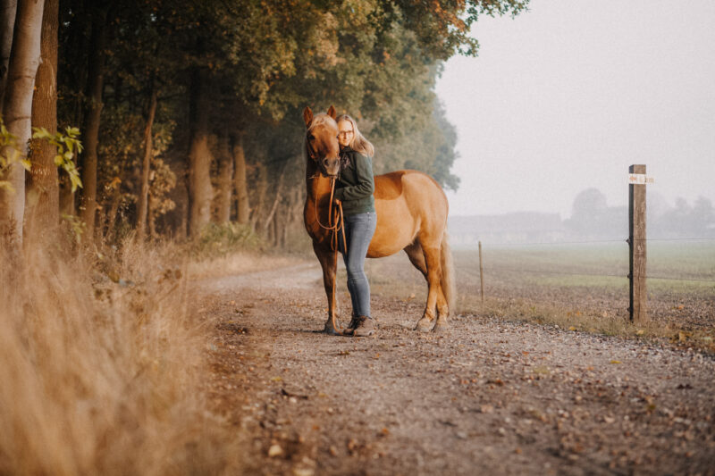 tierfotograf bonn pferdefotograf koblenz