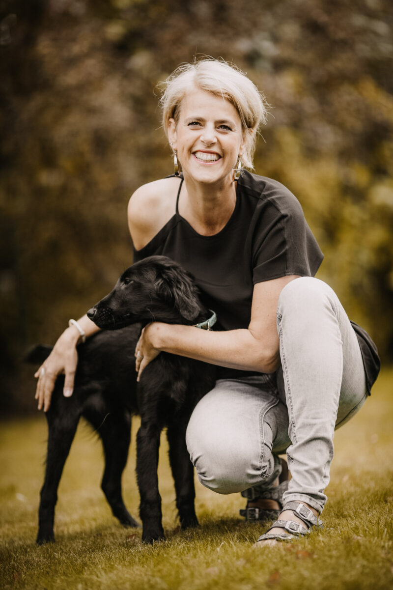 tierfotograf bonn hundefotos portrait retriever besitzer